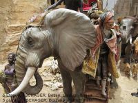 866 - Angela Tripi - Die Ankunft des Koenigs - Re con elefante_1